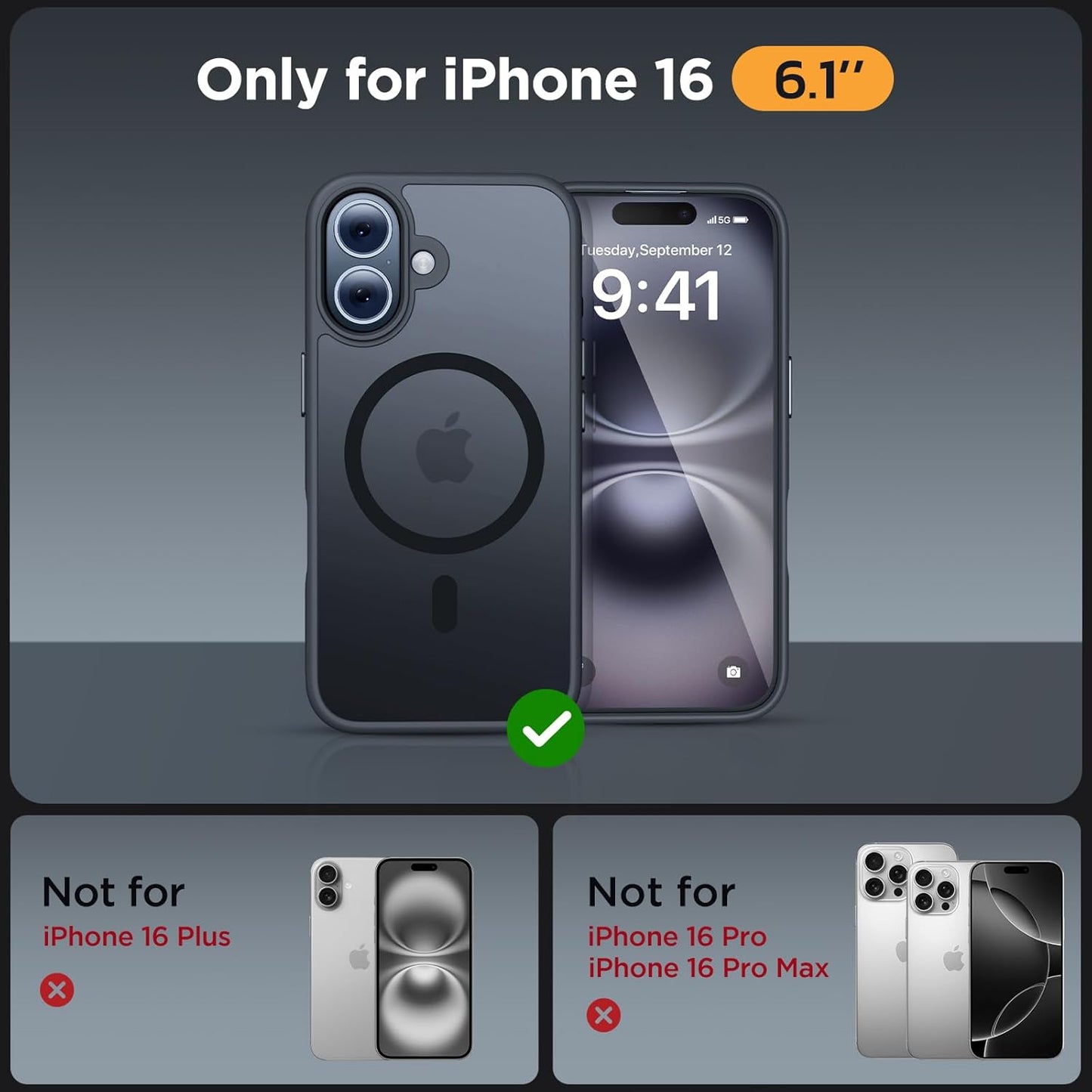 81