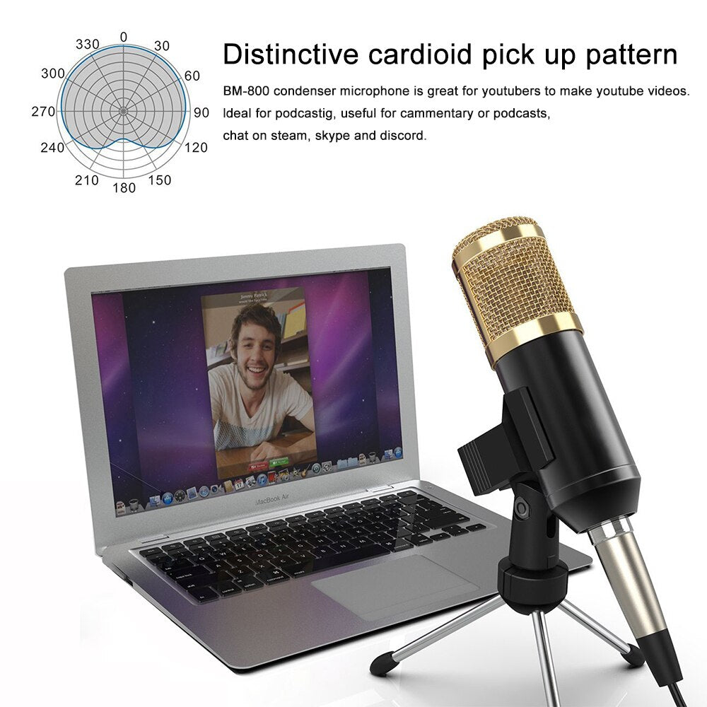 Professional Electronic Microphone