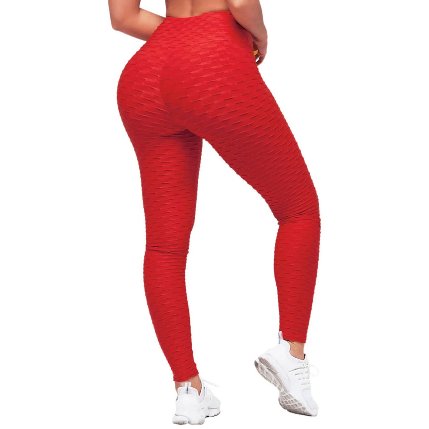 47858696388896|47858696487200|47858696552736|47858697371936