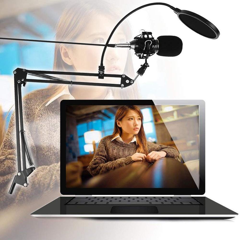 Professional Electronic Microphone