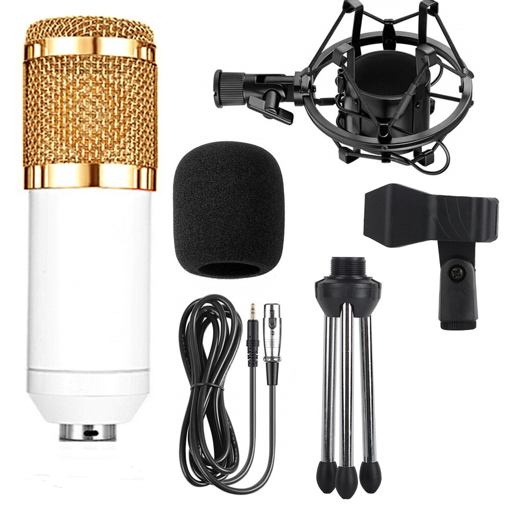 Professional Electronic Microphone