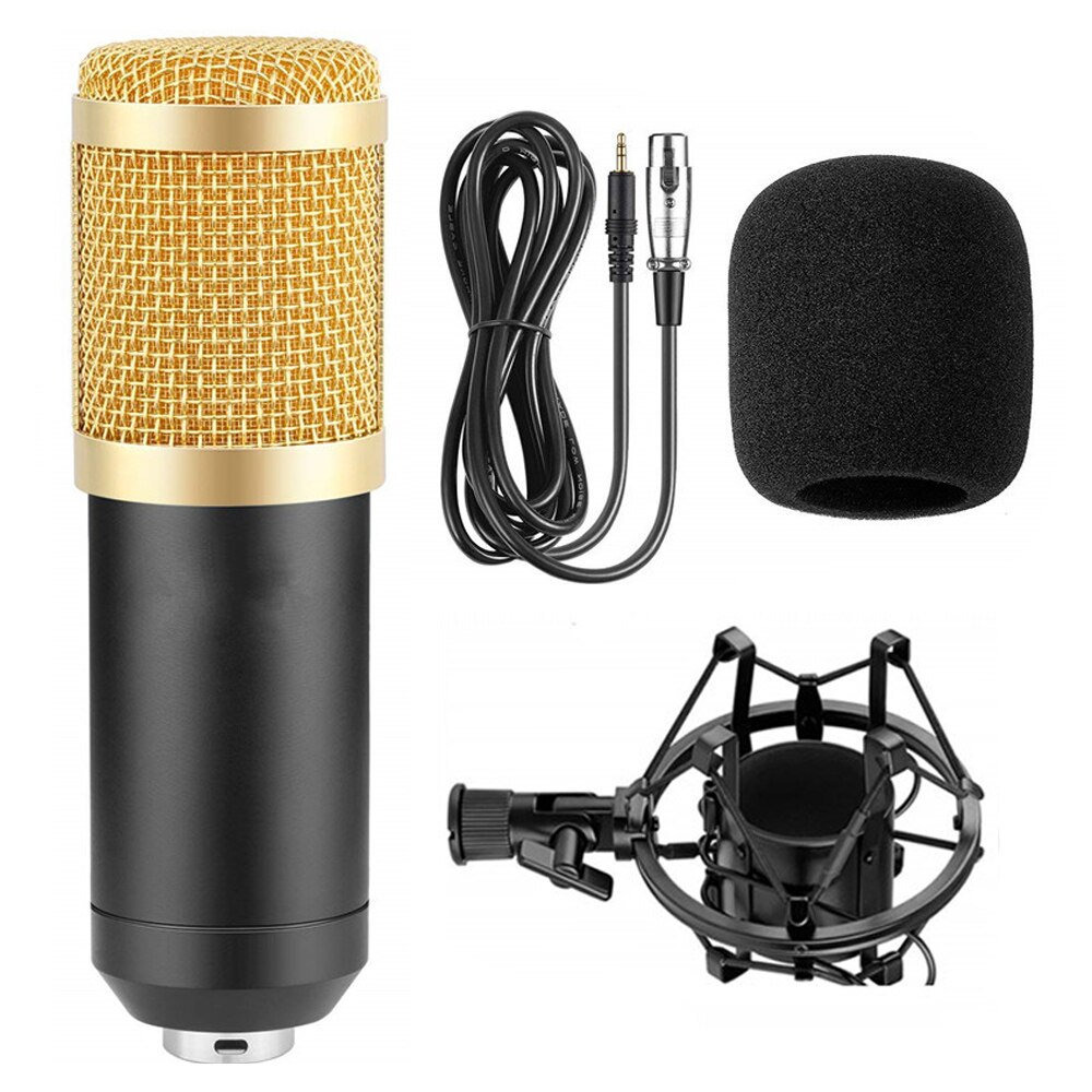 Professional Electronic Microphone