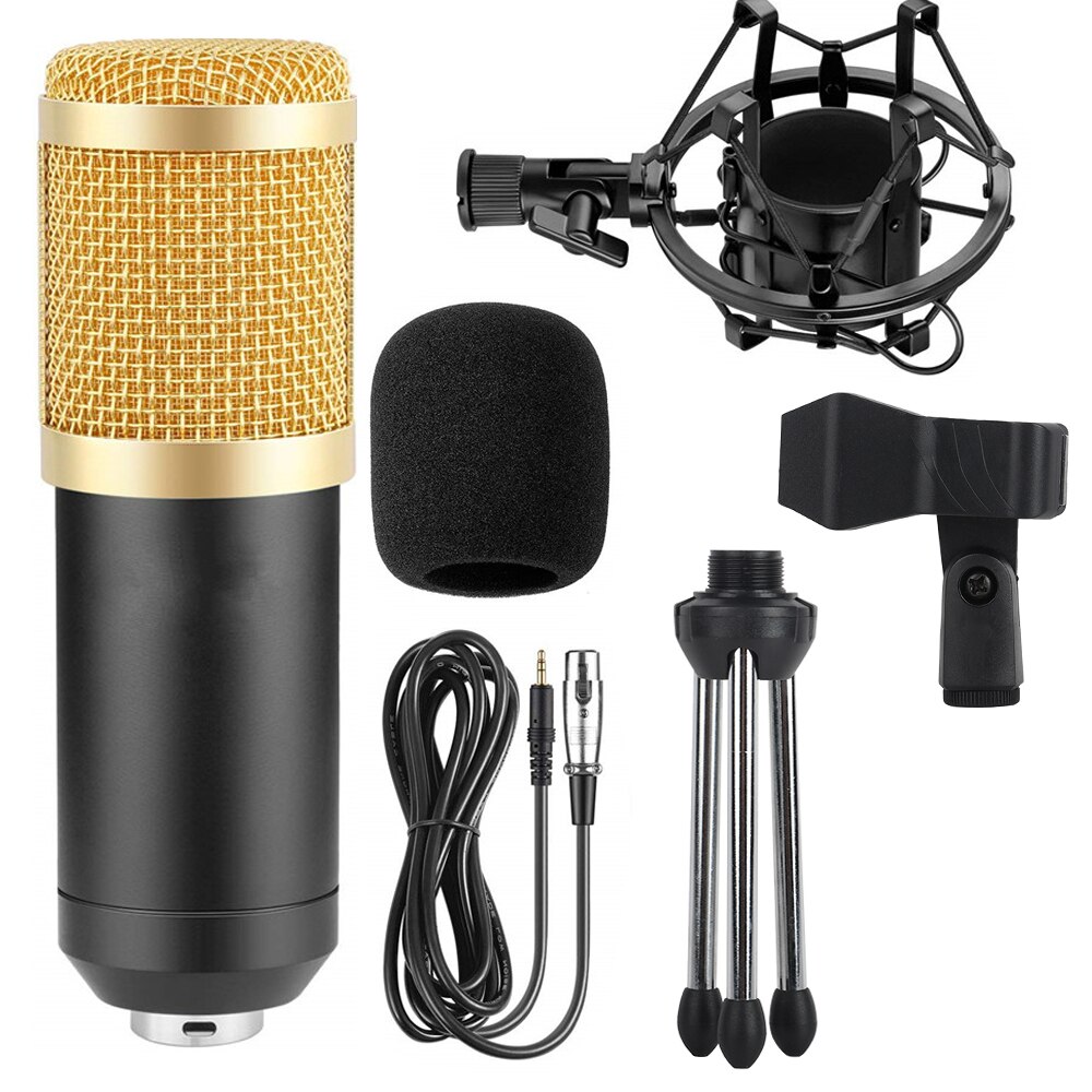Professional Electronic Microphone