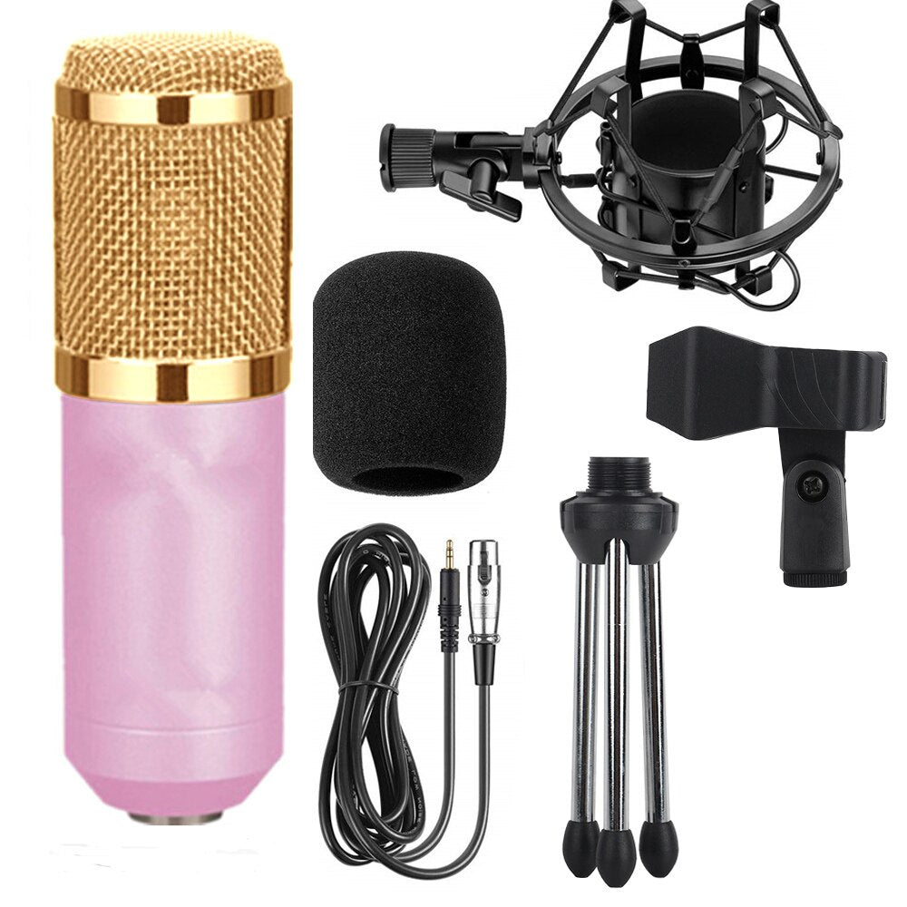 Professional Electronic Microphone