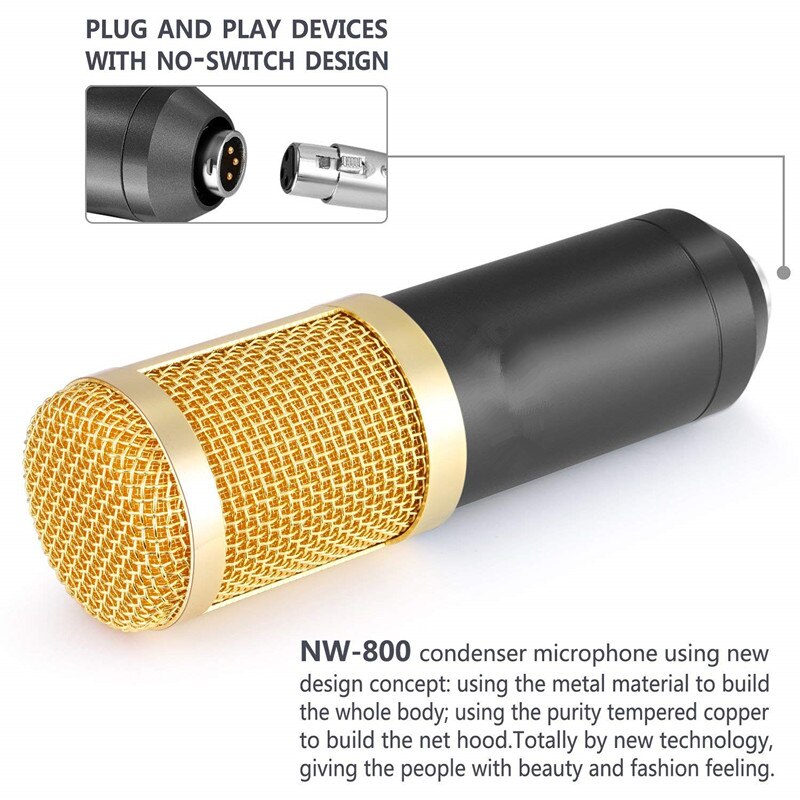 Professional Electronic Microphone