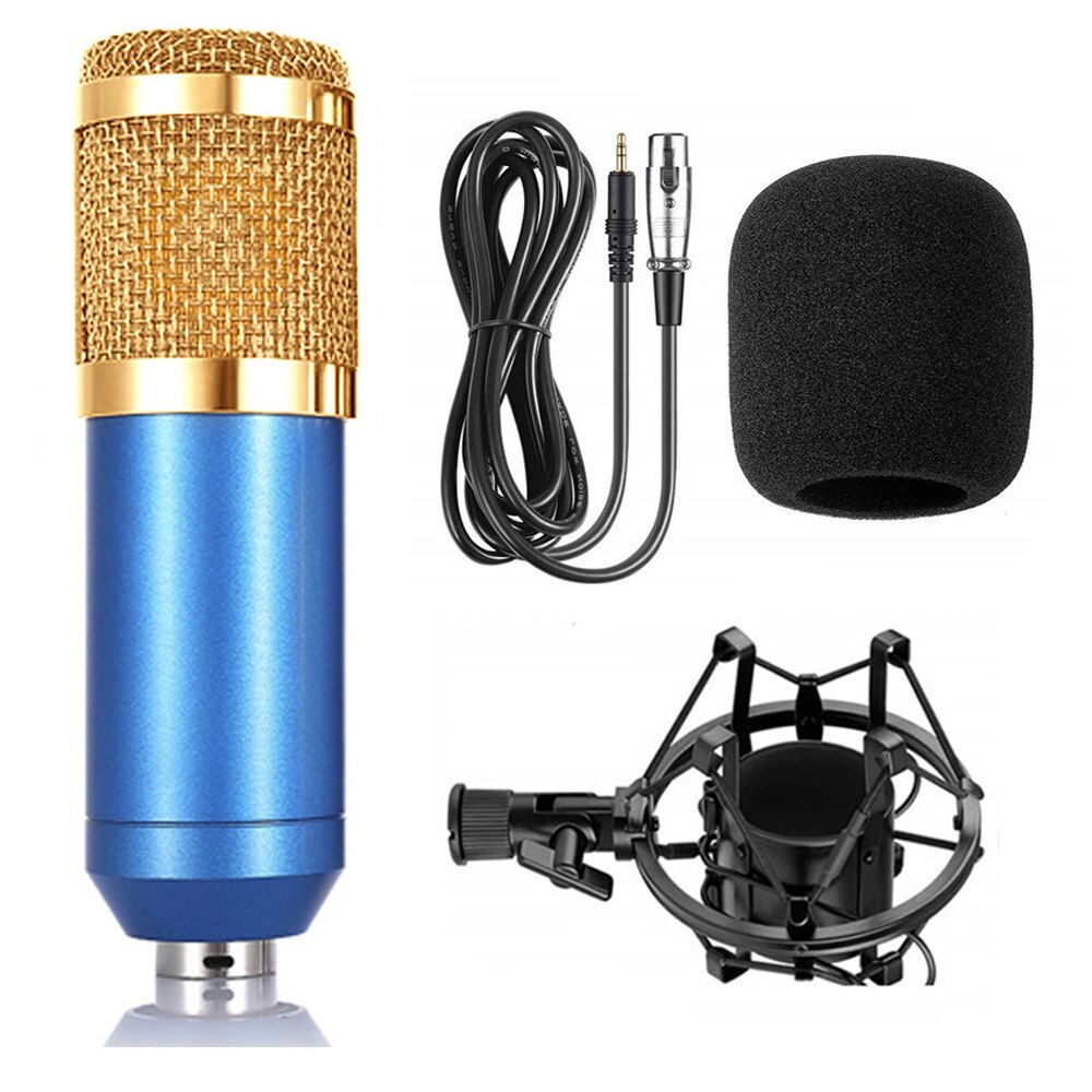 Professional Electronic Microphone
