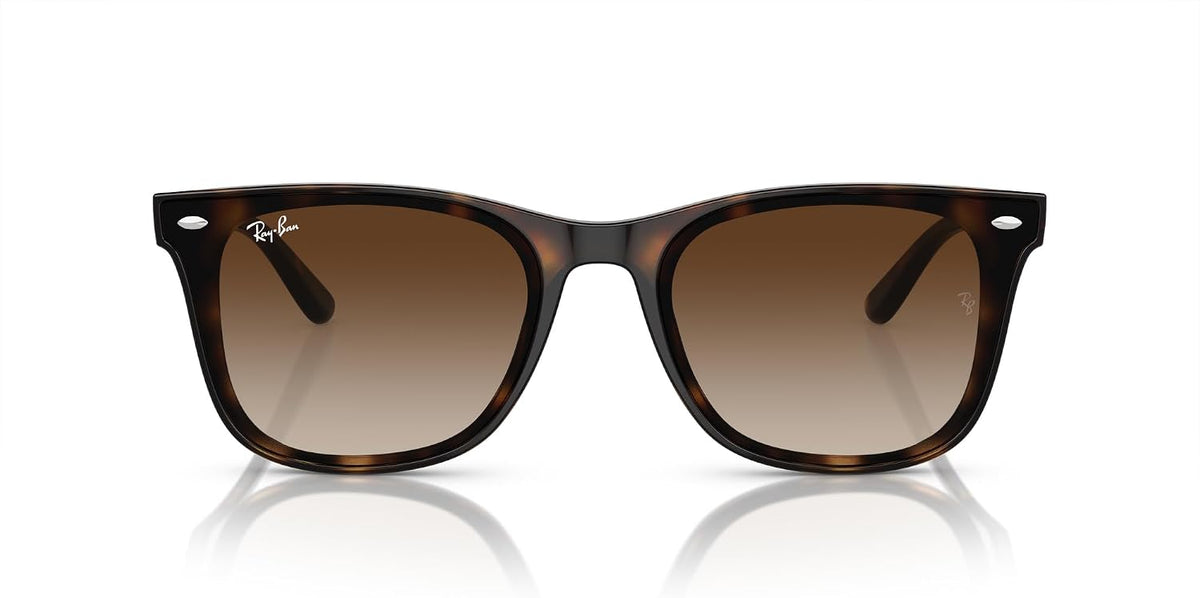 Ray-Ban RB4420 Sunglasses for Men for Women