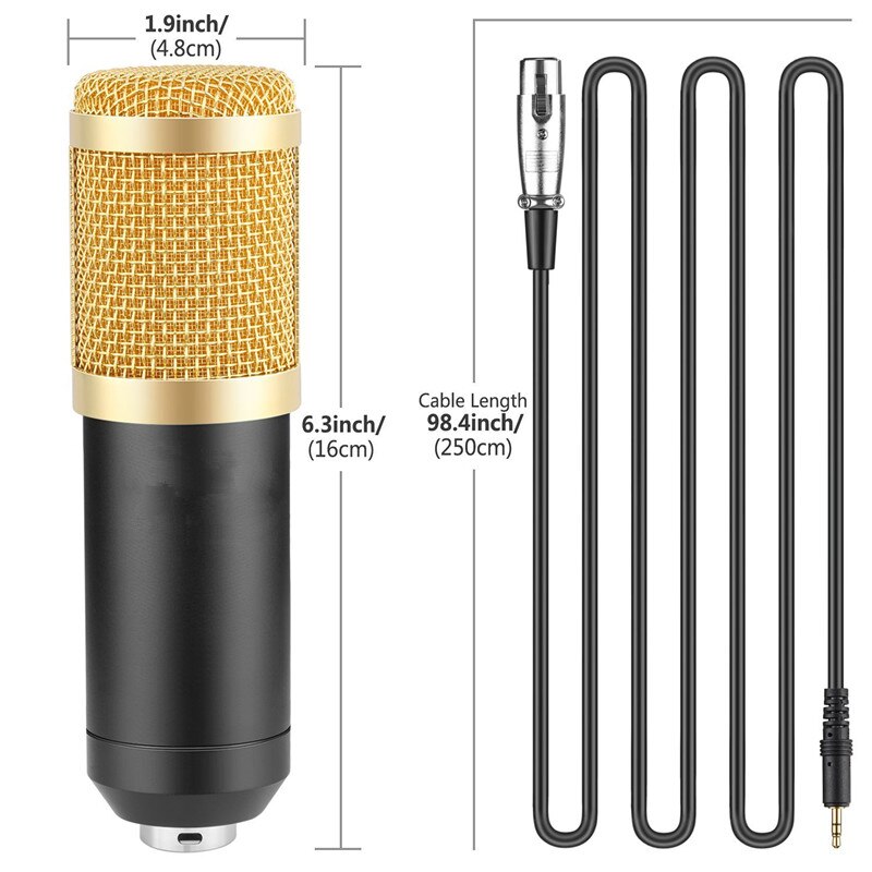 Professional Electronic Microphone