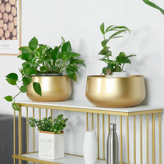Flower Plant Flowerpot Succulent Container Vase Living Room Decoration Golden Gardening Indoor Decor Metal With Drainage