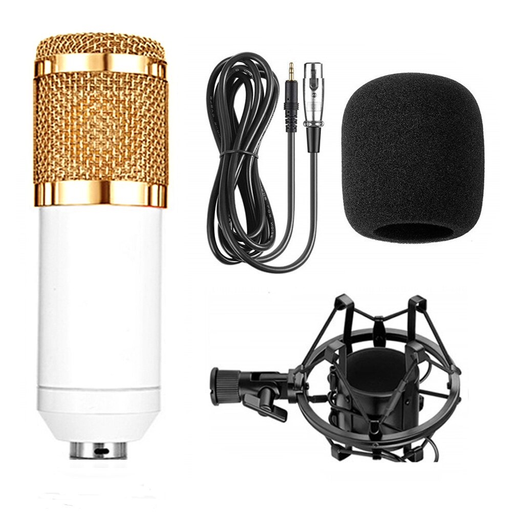 Professional Electronic Microphone