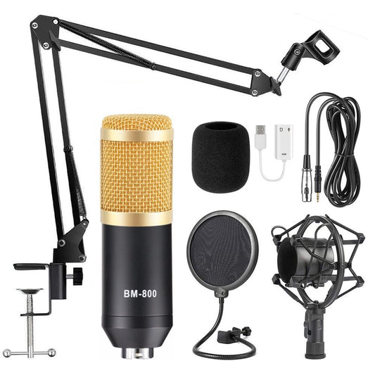 Professional Electronic Microphone