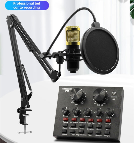 Professional Condenser Microphones